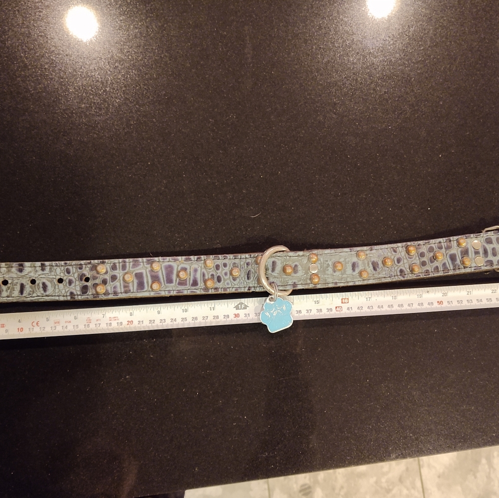 Custom made leather dog collar